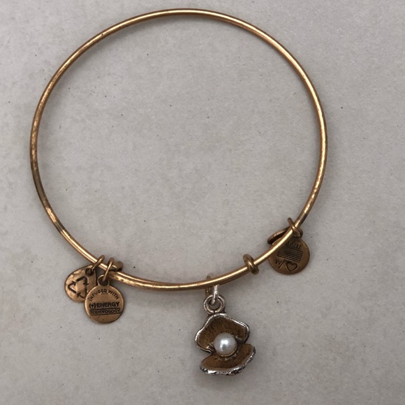 Alex and Ani Bracelets - Picture 6 of 8